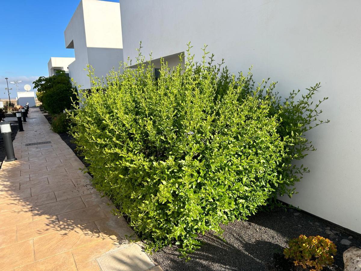 Casilla De Costa, La Oliva Apartment Villaverde  ภายนอก รูปภาพ